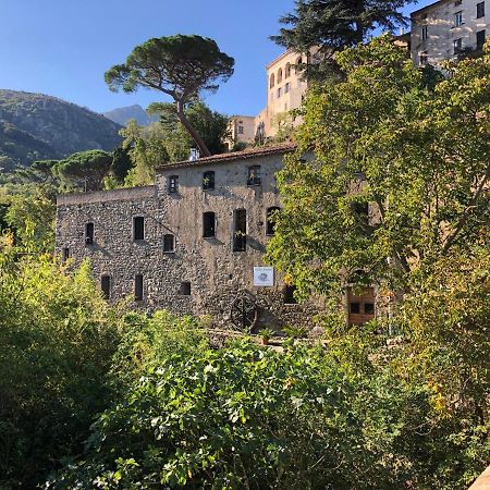 Chambres d'hôtes - Mulino nannaré Ville-di-Paraso Esterno foto