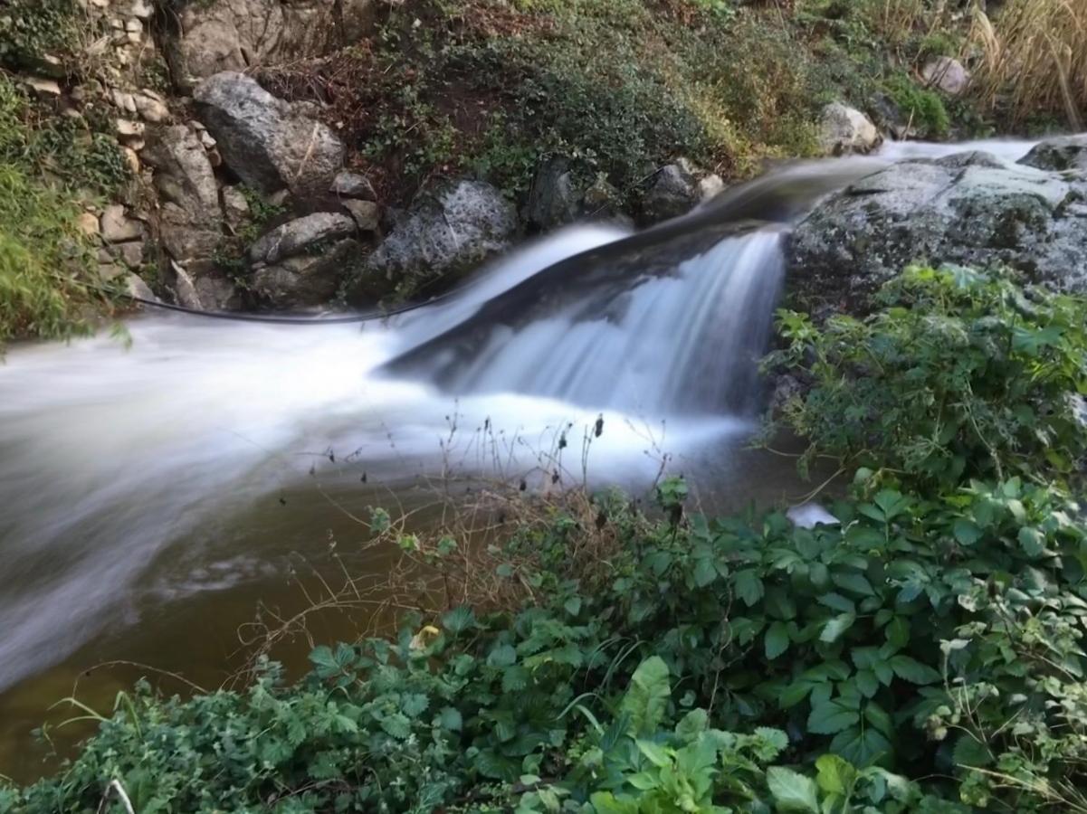 Chambres d'hôtes - Mulino nannaré Ville-di-Paraso Esterno foto