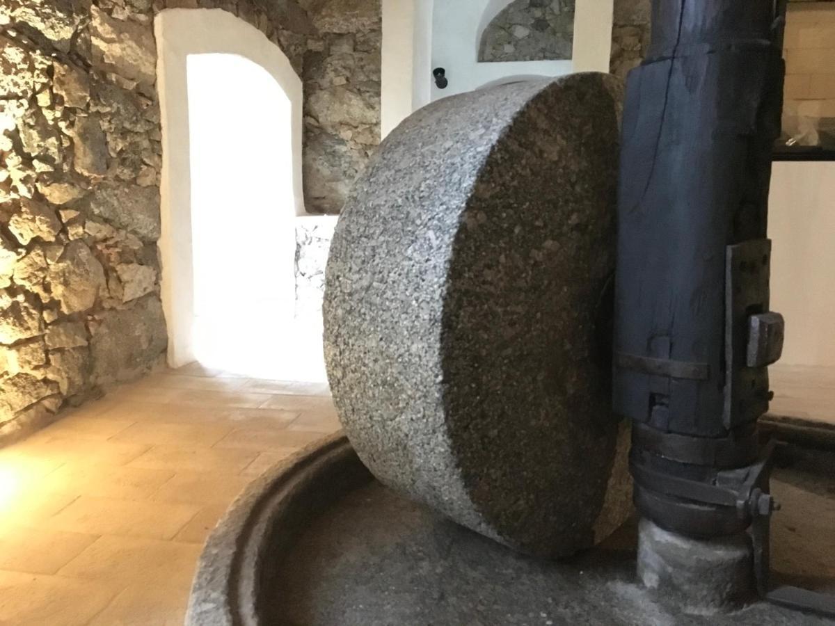 Chambres d'hôtes - Mulino nannaré Ville-di-Paraso Esterno foto