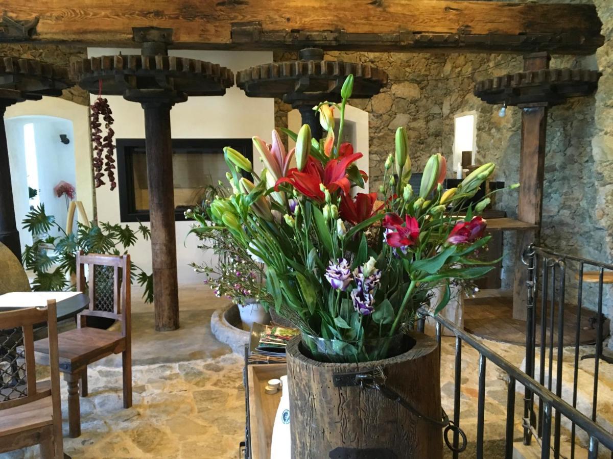 Chambres d'hôtes - Mulino nannaré Ville-di-Paraso Esterno foto