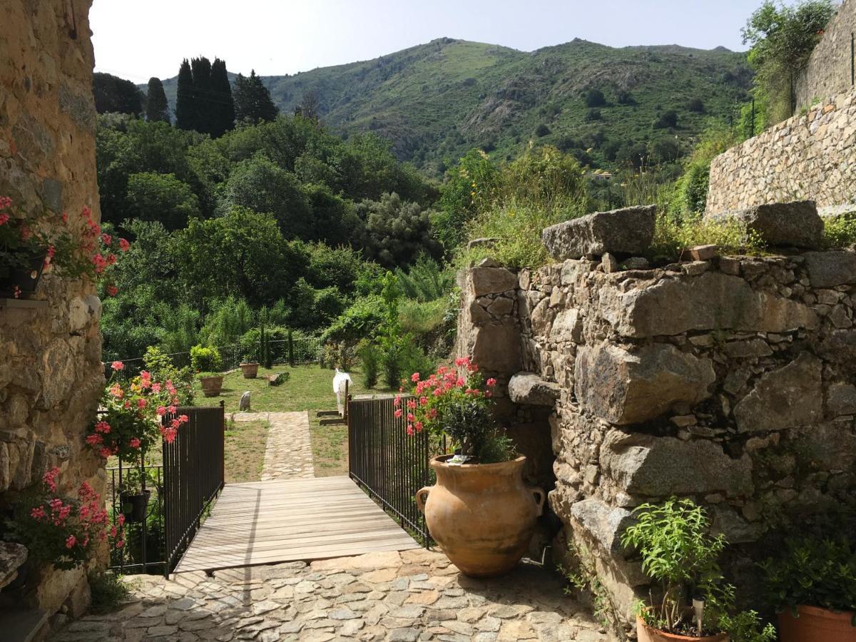 Chambres d'hôtes - Mulino nannaré Ville-di-Paraso Esterno foto