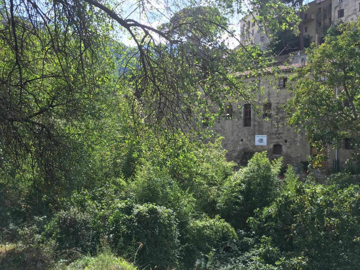 Chambres d'hôtes - Mulino nannaré Ville-di-Paraso Esterno foto