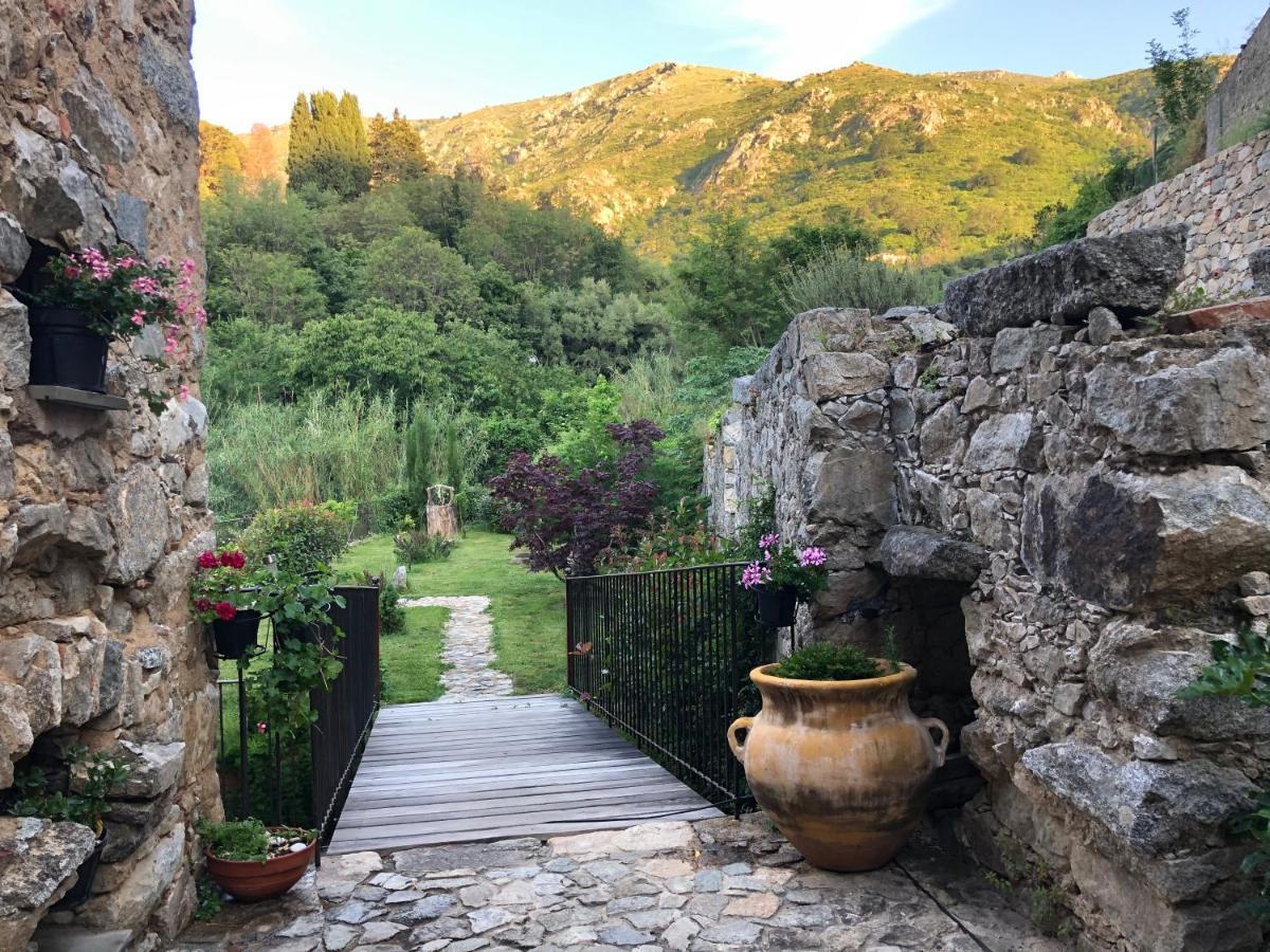 Chambres d'hôtes - Mulino nannaré Ville-di-Paraso Esterno foto