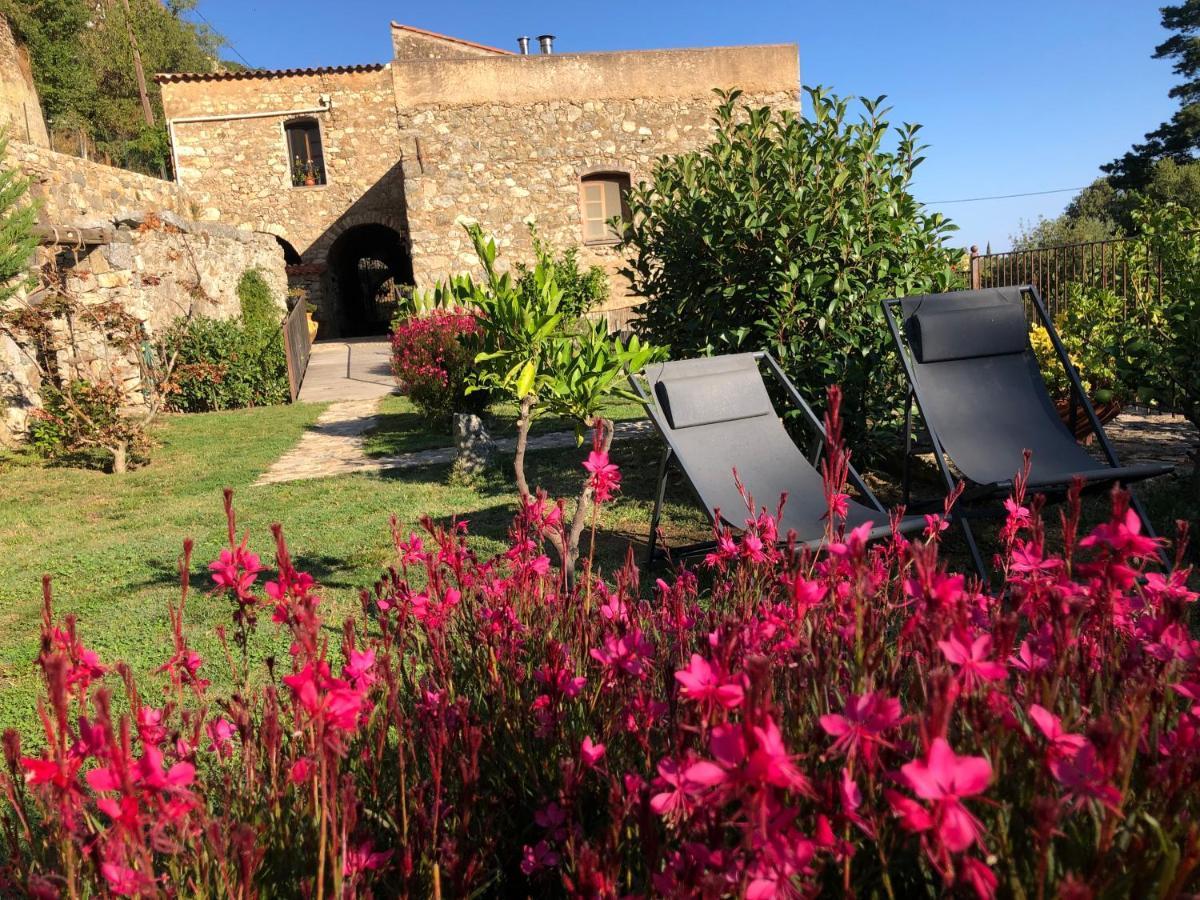 Chambres d'hôtes - Mulino nannaré Ville-di-Paraso Esterno foto