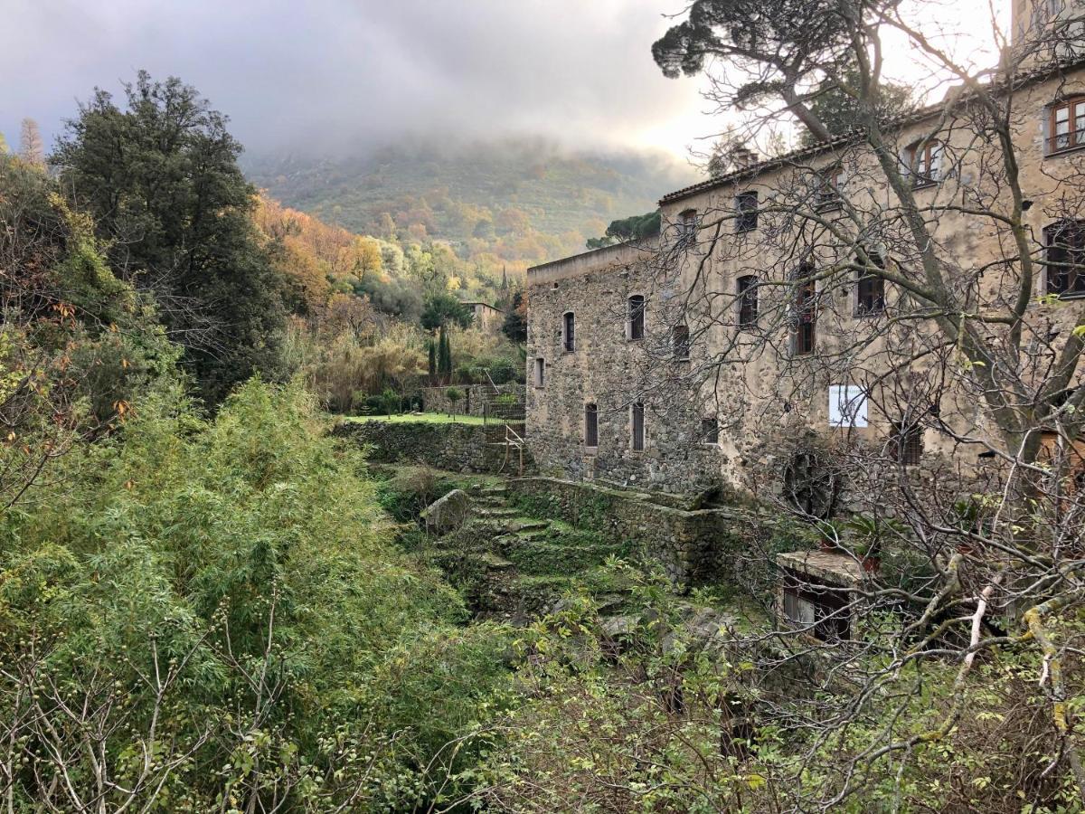 Chambres d'hôtes - Mulino nannaré Ville-di-Paraso Esterno foto