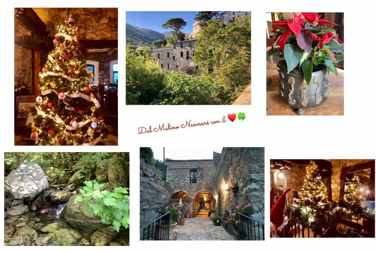 Chambres d'hôtes - Mulino nannaré Ville-di-Paraso Esterno foto