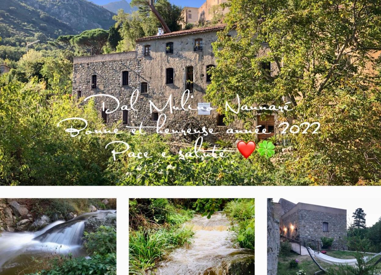 Chambres d'hôtes - Mulino nannaré Ville-di-Paraso Esterno foto