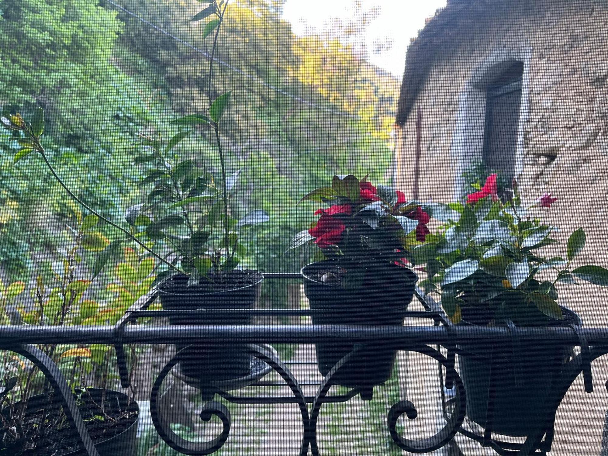 Chambres d'hôtes - Mulino nannaré Ville-di-Paraso Esterno foto